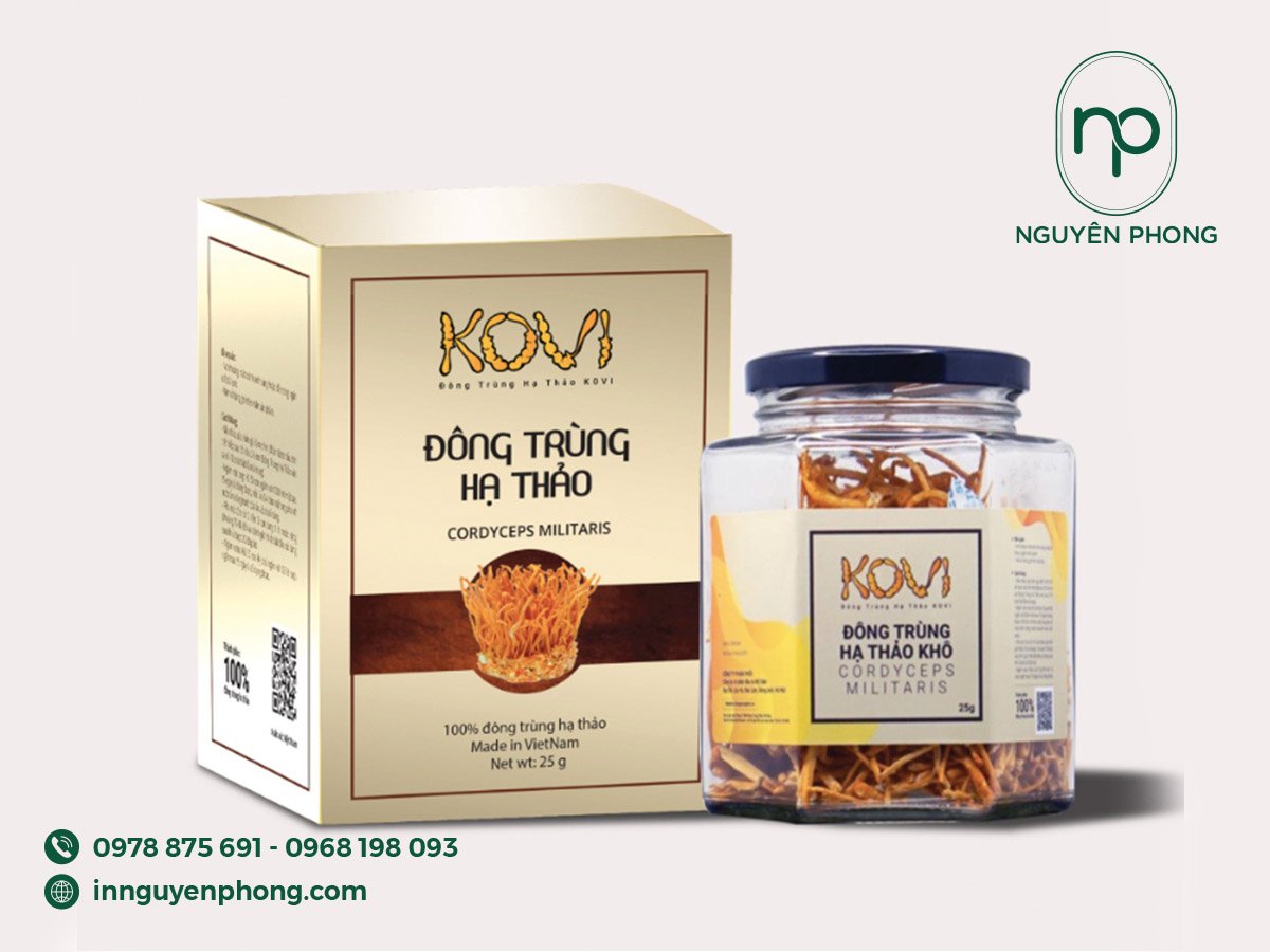 In hộp giấy đựng đông trùng hạ thảo theo yêu cầu